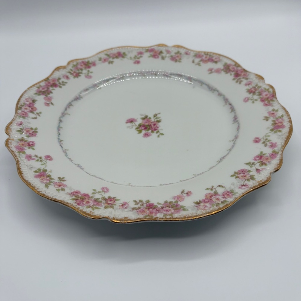 Limoges CH Field Haviland GDA France 9 3/4 inch Floral Plate